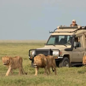 3 Days Maasai Mara Group Joining Safari – 4x4 Jeep Adventure in Nairobi - Photo 4
