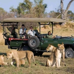 3 Days Maasai Mara Group Joining Safari – 4x4 Jeep Adventure in Nairobi - Photo 2