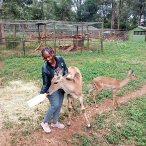 Discover the Serene Nairobi Environment and people's culture - Live Streaming - Photo 3