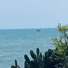 We Live in Accra