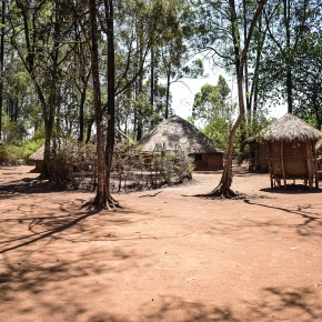 Nairobi City Tours in Nairobi