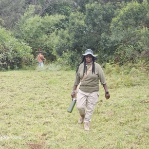 Meet Terra, your local expert in Nakuru - Photo 2