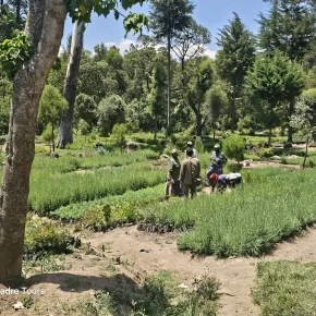 Meet the Indigenous Ogiek Community in Nakuru - Photo 6