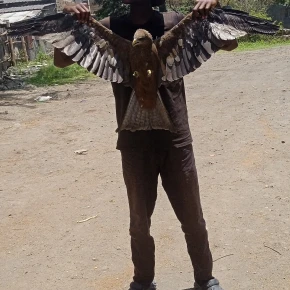 George - Private Tour Guide in Nairobi - Photo 1