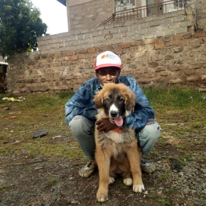 George - Private Tour Guide in Nairobi - Photo 3