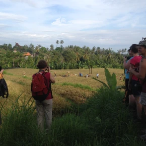 Cultures and natures tour in Yogyakarta - Photo 6