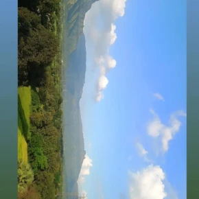 ]A Day in the Heart of the Community - Live Streaming - Photo 4