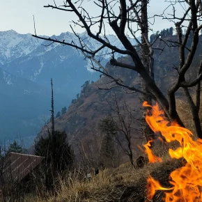 Meet Shubham Tyagi, your new local friend in Manali - Photo 5