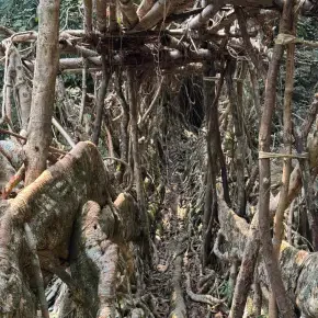 Meet Mebaaibor, your local expert in Cherrapunji - Photo 3