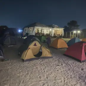 Beach camping 
Museum - Live Streaming