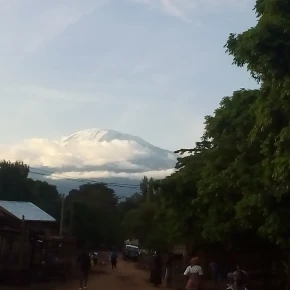 I have been born in Moshi raised here and working in tourism industry in Moshi - Photo 4