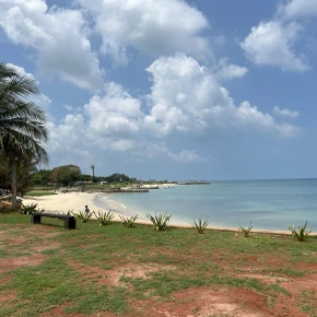 Explore Jaffna - Live Streaming - Photo 4
