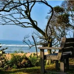 Durban has so much to offer and I believe I'm able to showcase th.. in Durban - Photo 1