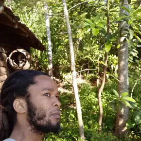 Moses - Private Tour Guide in Kilimanjaro
