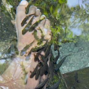 Chemka Hot Springs – A Hidden Oasis Near Moshi - Live Streaming - Photo 4