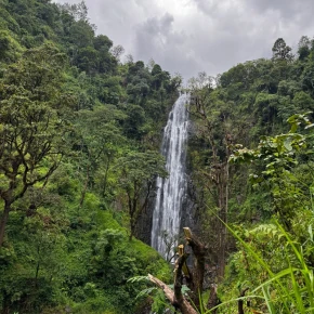 Day trip to Materuni waterfall and coffee tour in Moshi - Photo 1
