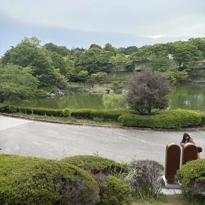 Explore Osaka, Kyoto and Nara - Live Streaming - Photo 1