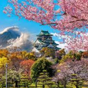 Explore Osaka, Kyoto and Nara - Live Streaming - Photo 4
