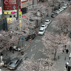 Experiment Korea as a local in Seoul - Photo 6