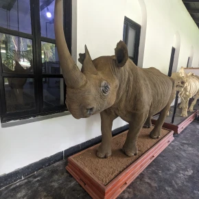 KILIMANJARO AND ARUSHA EXPEDITION.
ARUSHA FINEST 
KILIMANJARO FINEST - Live Streaming - Photo 4