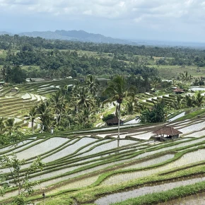 The Authentic of Bali with EL in Ubud - Photo 5