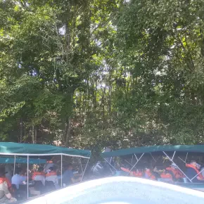 Walking Tours experiences in Old City , or more diferents Tours - Live Streaming - Photo 6