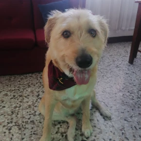 Meet Ramiro, your local expert in Guatemala City - Photo 2