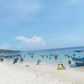 Roatan monkey sloth snorkeling plus west bay beach break in Coxen Hole - Photo 6