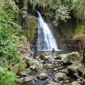 Roots and Rhythms: A Journey Through My Local Life - Live Streaming - Photo 1