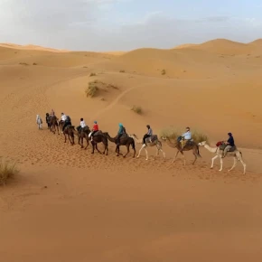 Meet Toubkaladventureinmorocc in Marrakesh - Your Local Friend & Expert - ID4868 - Photo 2