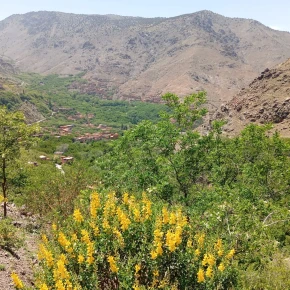 Meet Toubkaladventureinmorocc in Marrakesh - Your Local Friend & Expert - ID4868 - Photo 6