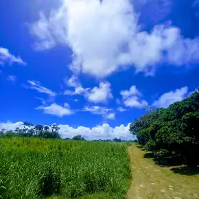 Relaxation/Meditation On The Farm - Live Streaming - Photo 2