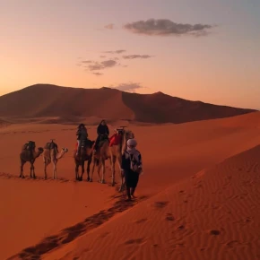Meet Atlas, your new local friend in Marrakesh - Photo 2