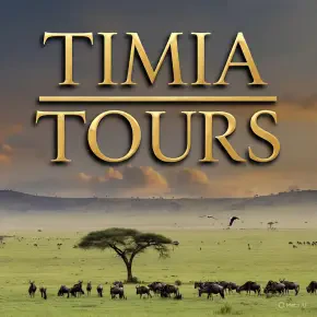 Michael Kailas - Private Tour Guide in Arusha - Photo 5