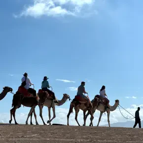 Meet Our Marrakech Tours, your local expert in Marrakesh - Photo 4