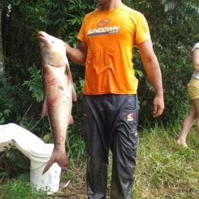 Manoel Santos's profile image