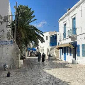 As a tourism student, i hope to provide the best tour in Tunis city in Tunis - Photo 1