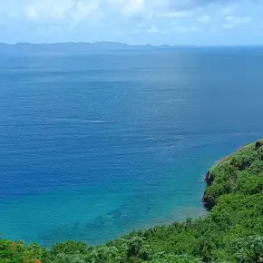 Rhondel Delpesche - Private Tour Guide in Kingstown