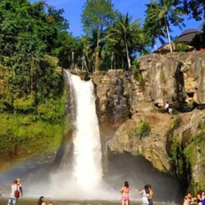 Meet Balisutha Official, your local expert in Gianyar - Photo 5