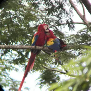 Freddy Cascante - Private Tour Guide in Quepos - Photo 5