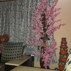 Entire apartment in Konark Road, Konark Central Division, India - with :Name - Photo 3