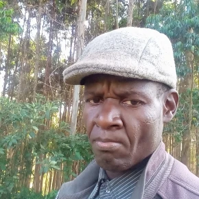 Moses Akola's profile image
